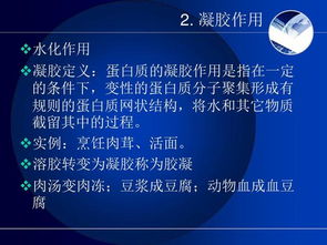 烹饪与膳食管理基础 餐饮管理的关键要素